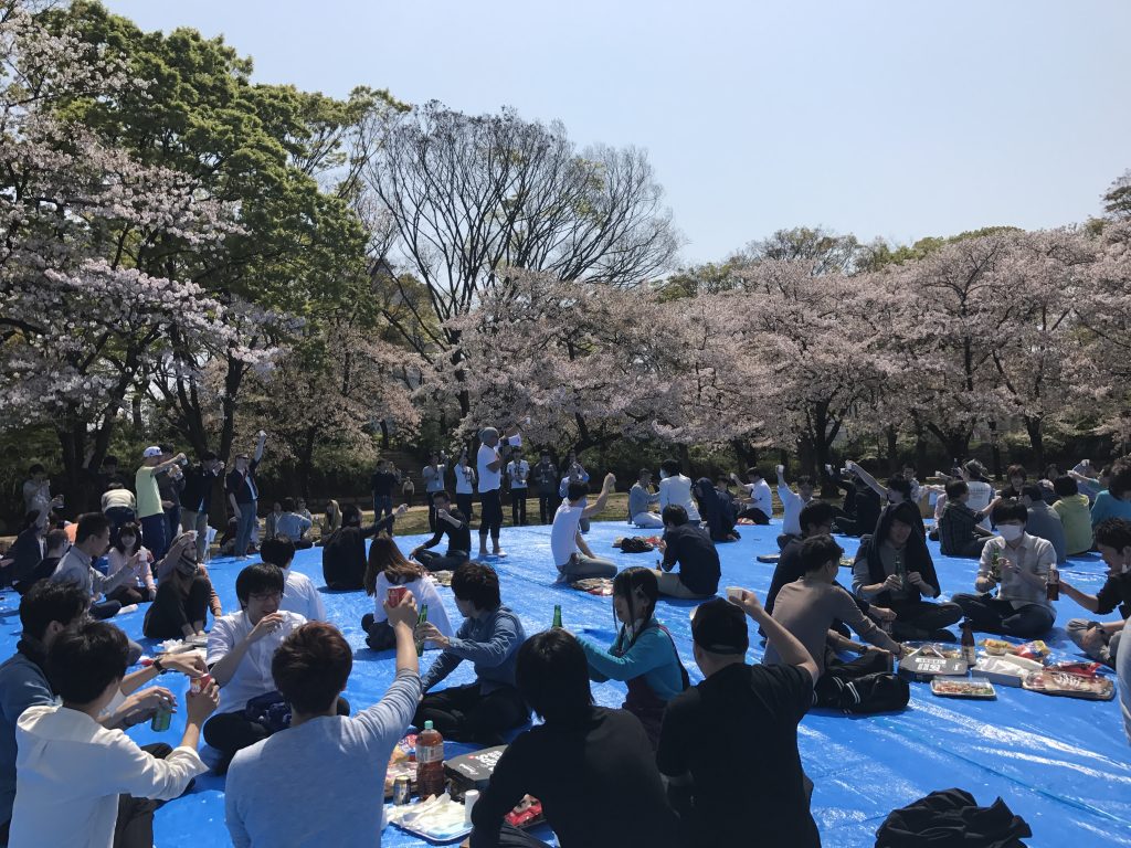 大阪 お 花見